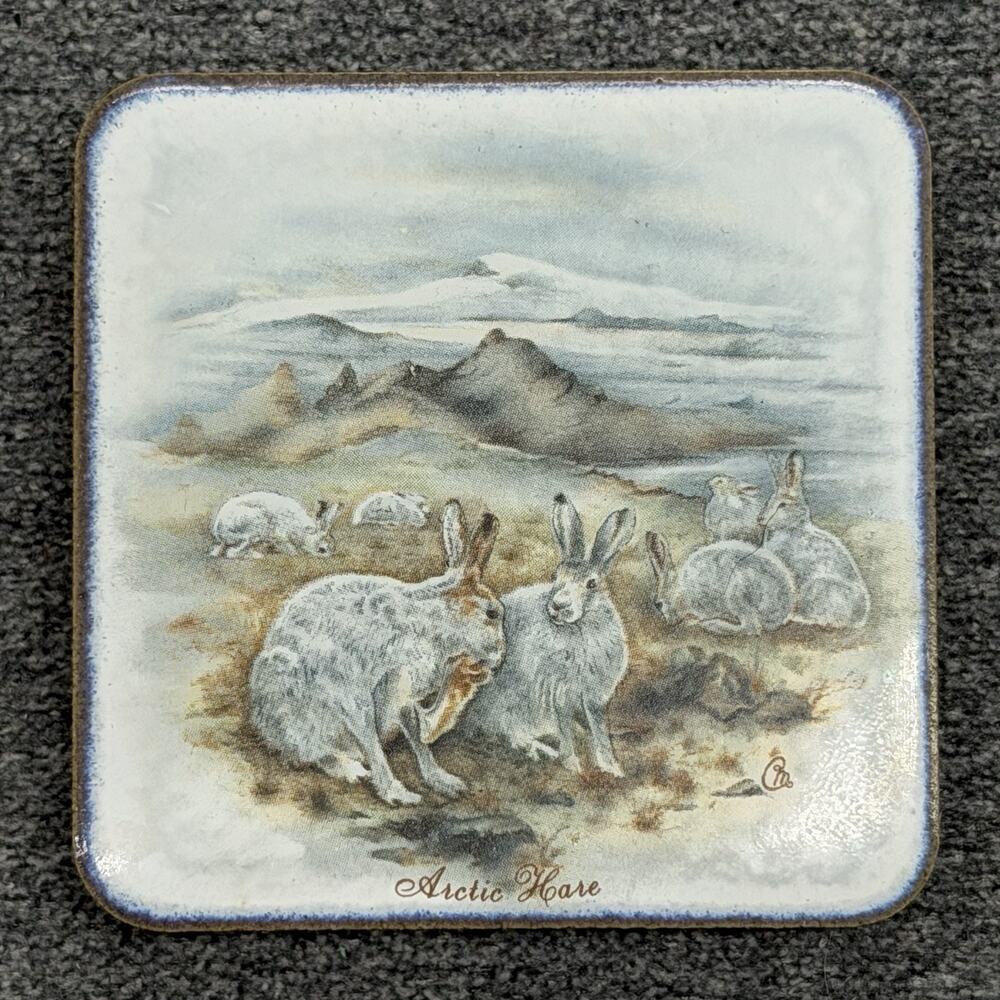 Vintage Wildlife Arctic Hare Mini Trivet Fridge Magnet Nature Painting Art